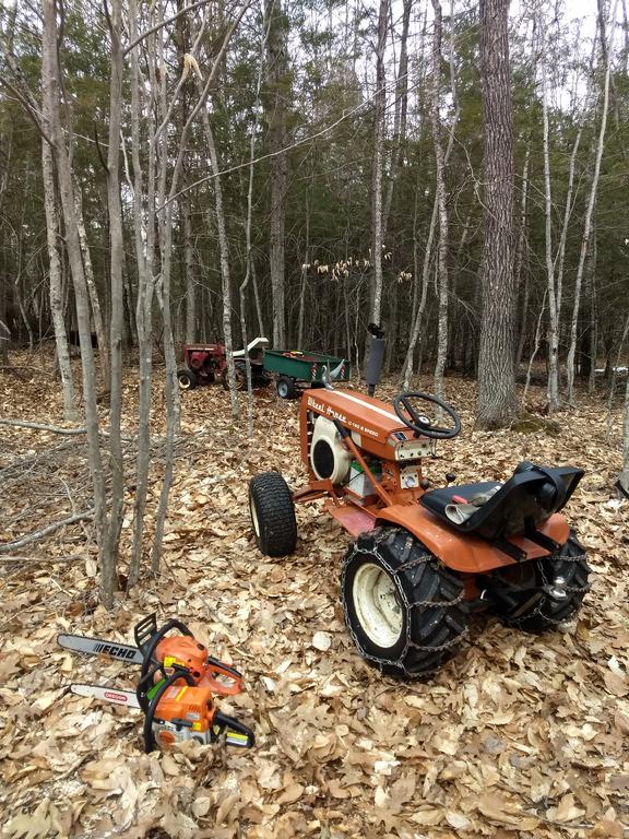 A little forest fun - Wheel Horse Tractors - RedSquare Wheel Horse Forum